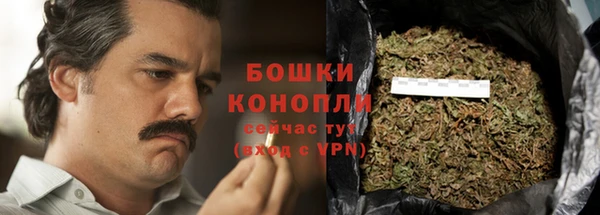 PSILOCYBIN Балабаново