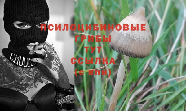 каннабис Дмитровск