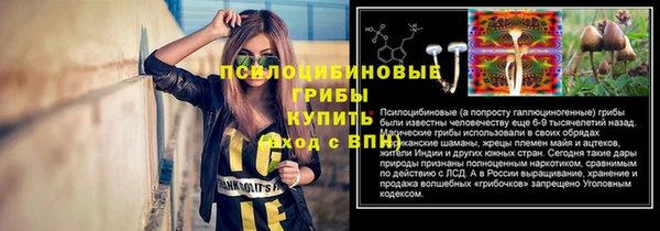 скорость Няндома