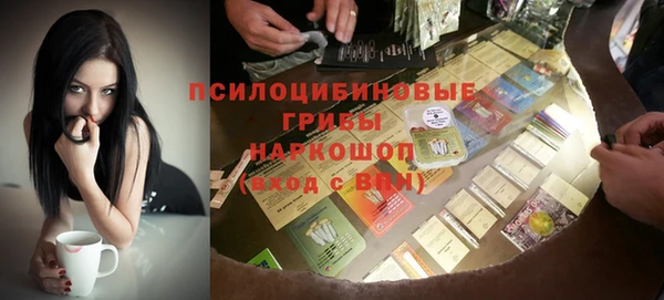 кристаллы Дмитров