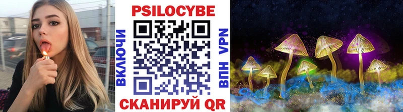 Псилоцибиновые грибы Psilocybe  Среднеколымск 